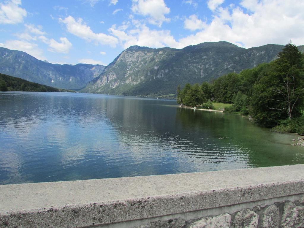 Apartment Iris Bohinj Zimmer foto